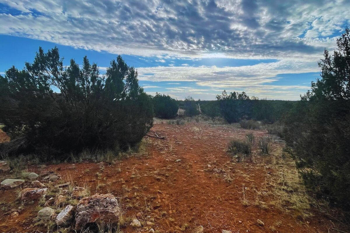 Next to Public Land 2 - Via De Oro Pkwy, Seligman, AZ 86337