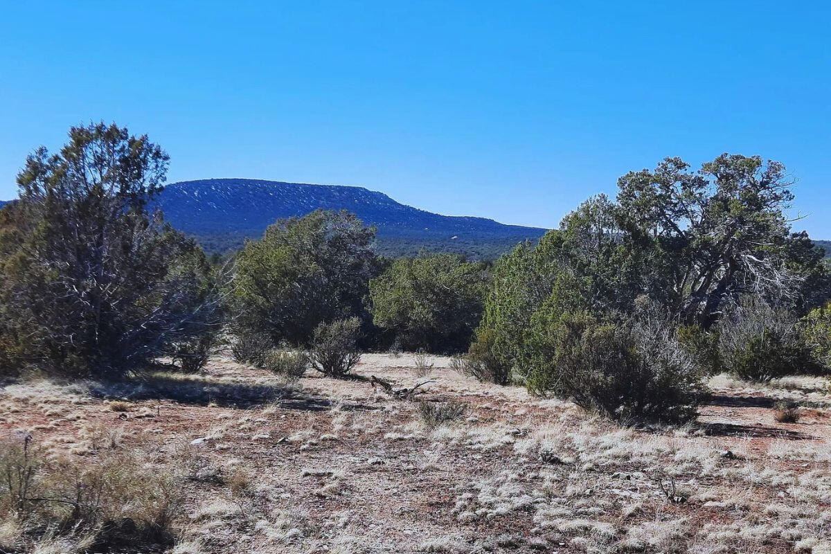 Next to Public Land 2 - Via De Oro Pkwy, Seligman, AZ 86337
