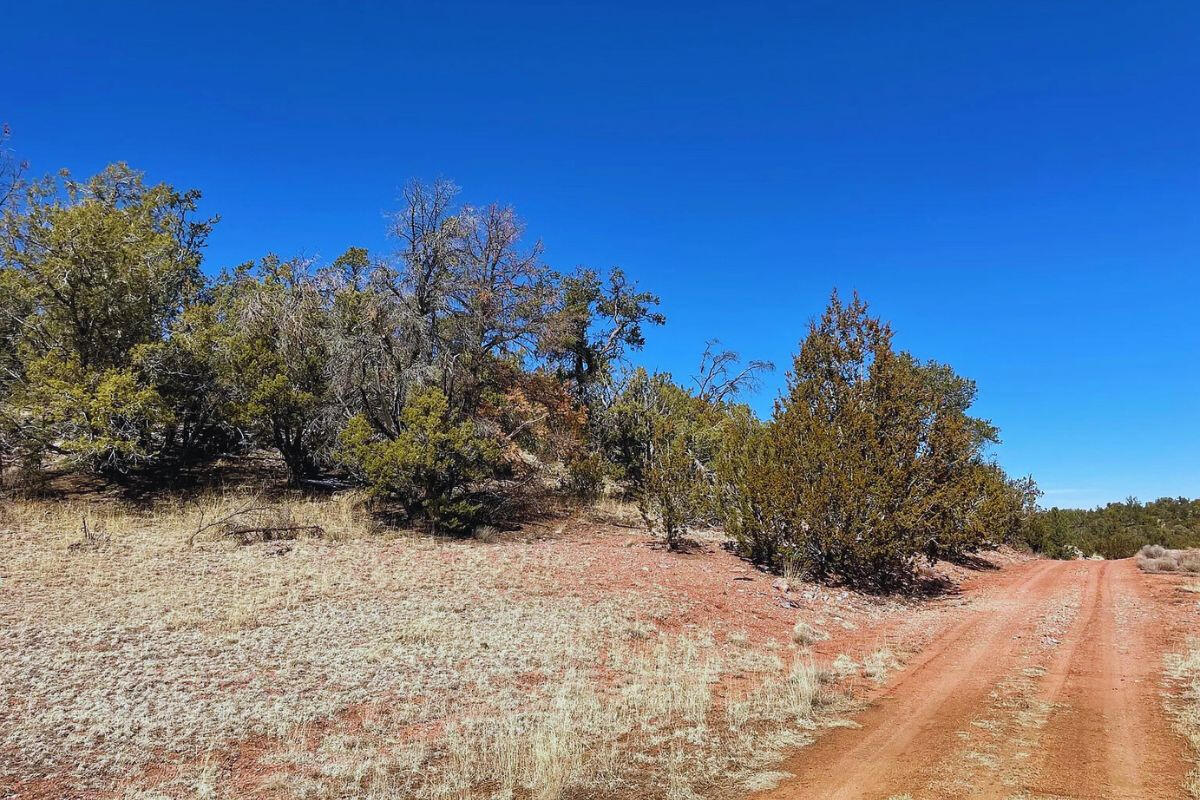 Next to Public Land 2 - Via De Oro Pkwy, Seligman, AZ 86337