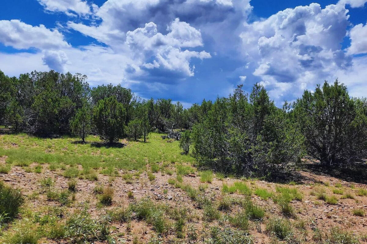 Next to Public Land 2 - Via De Oro Pkwy, Seligman, AZ 86337