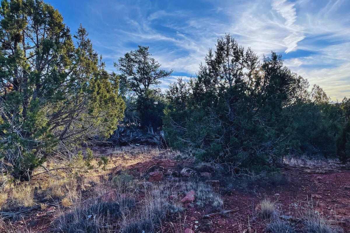 Next to Public Land 2 - Via De Oro Pkwy, Seligman, AZ 86337