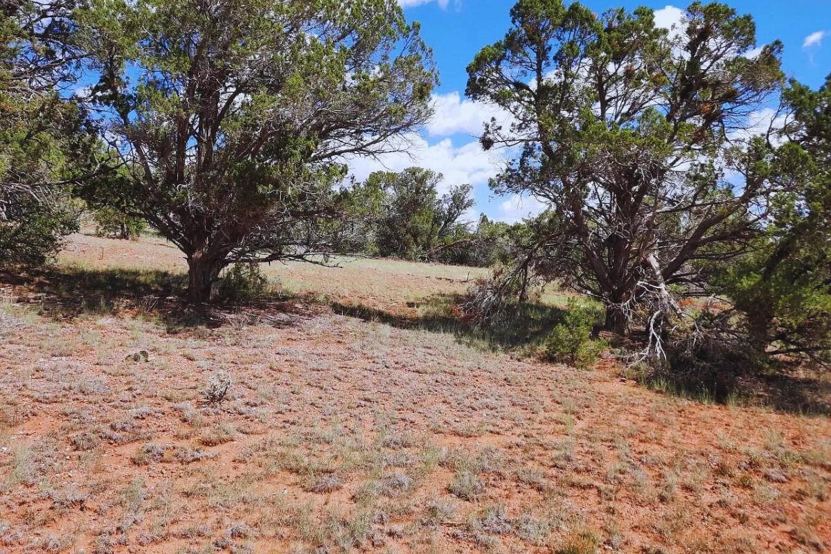 Next to Public Land 2 - Via De Oro Pkwy, Seligman, AZ 86337