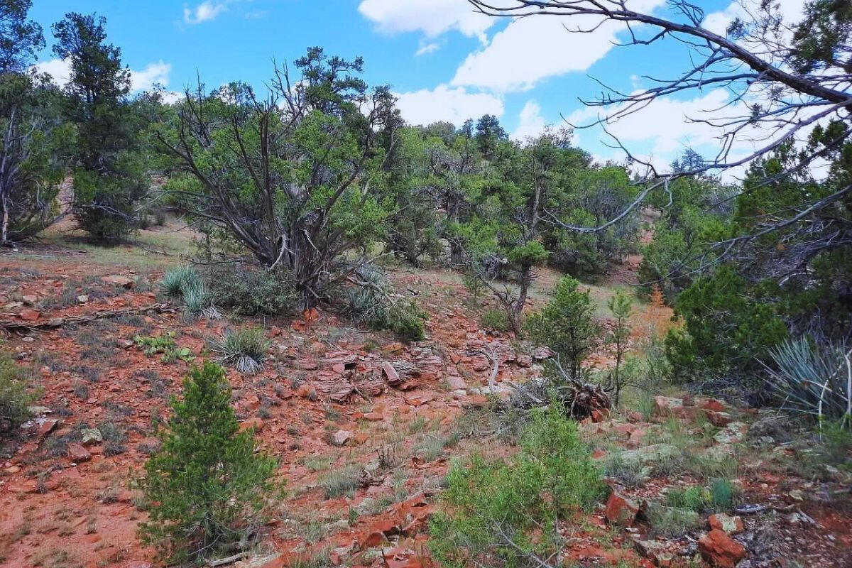 Next to Public Land 2 - Via De Oro Pkwy, Seligman, AZ 86337