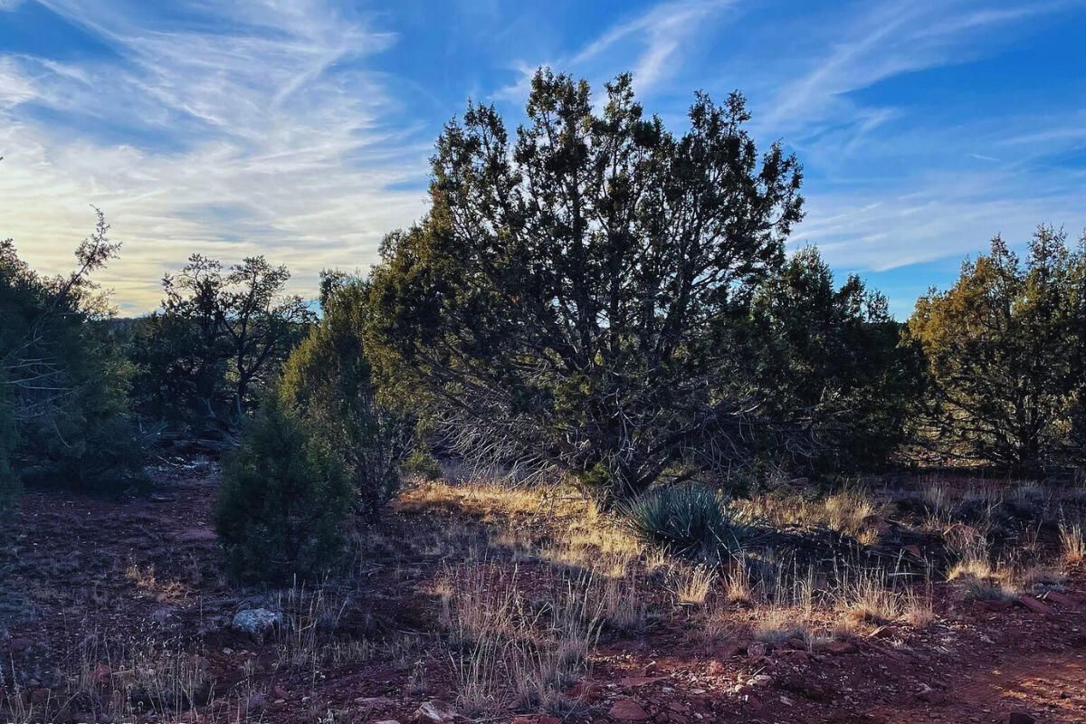 Next to Public Land 2 - Via De Oro Pkwy, Seligman, AZ 86337